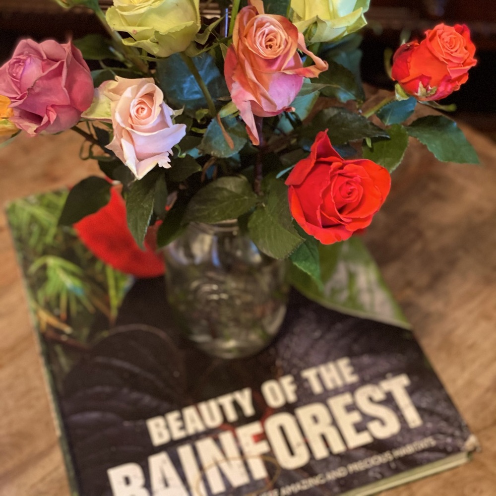 Meet your Posher Mimi